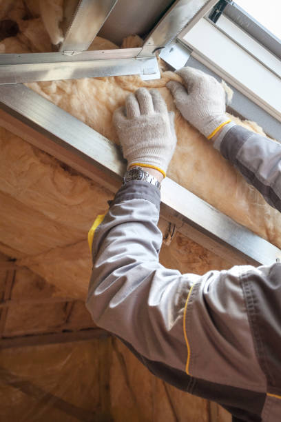 Best Insulation Installation Services in Zephyrhills North, FL