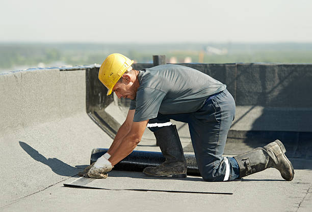 Best Insulation for Specific Applications in Zephyrhills North, FL